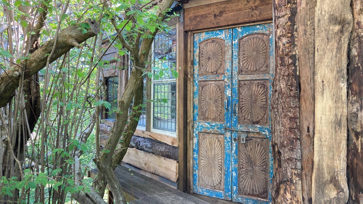 Abergele Cabin | Treehouse Cabin Wilderness Escape