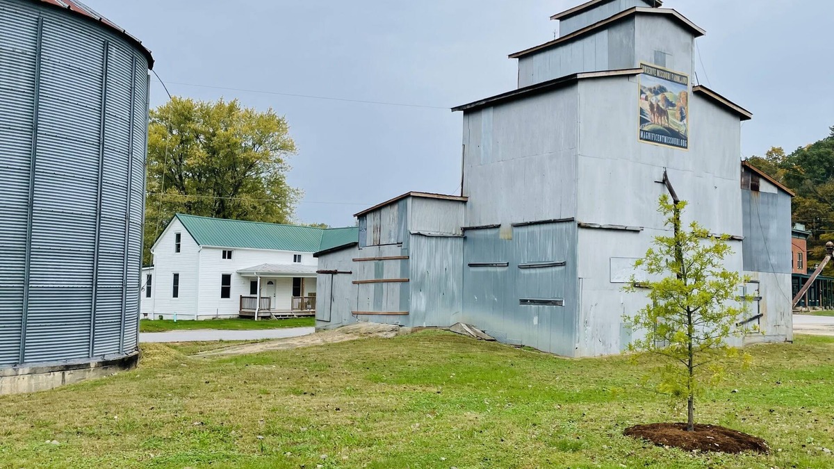 Treloar House | Treehouse on the Katy Trail - Bur Oak