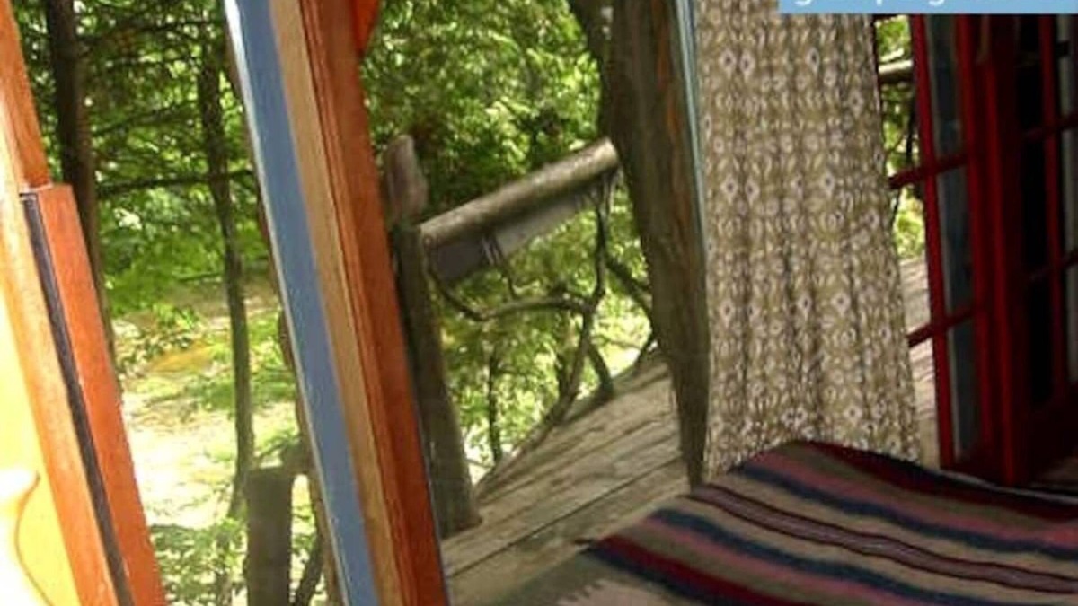 Lanark House | Treehouse perched on the water’s edge