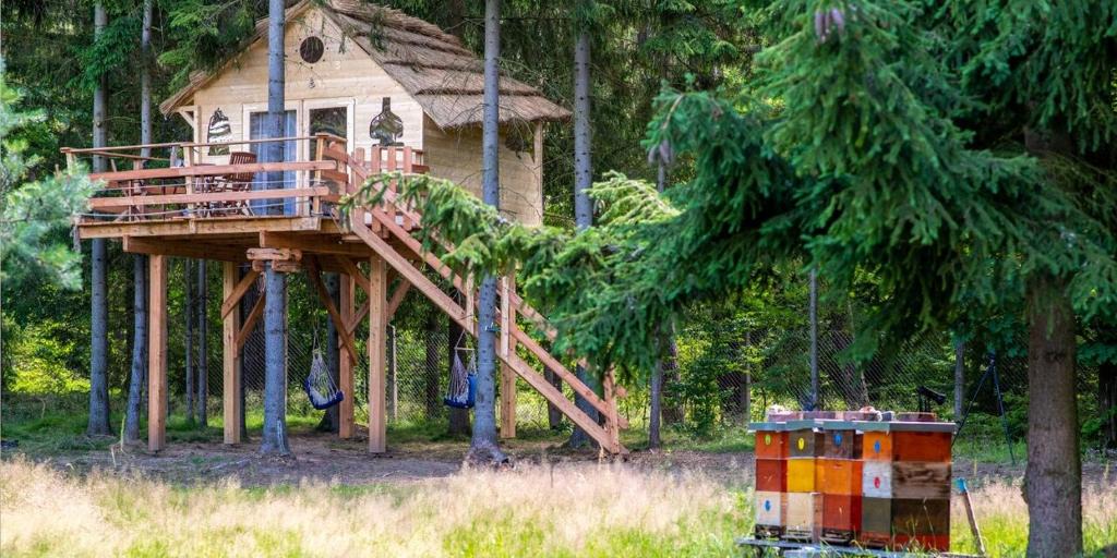Osecna Other | Treehouse U lesa
