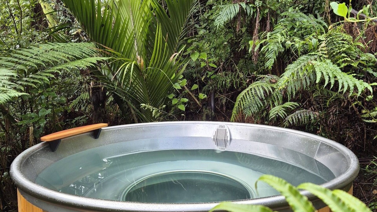 Punakaiki House | Treescapes