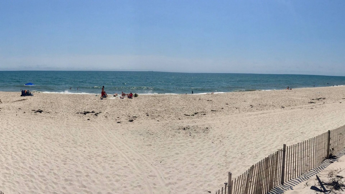 Davis Park House | Treetop beach house with amazing views