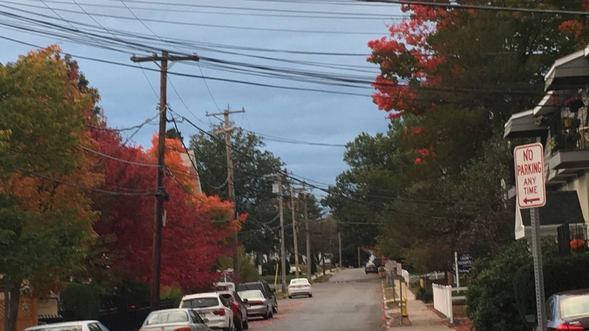 Westborough Condo | Treetop Downtown Westboro 1/1 Condo Nest