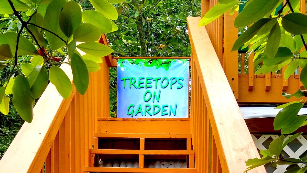 Chevy Chase Apartment | Treetops Solar Sanctuary