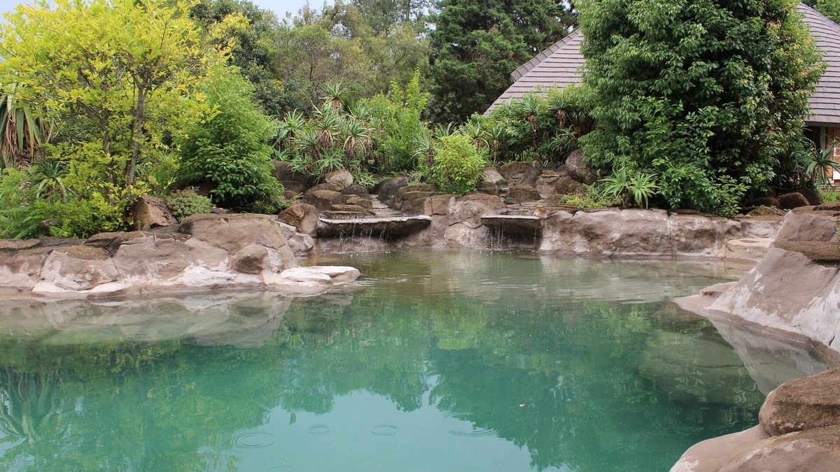 Cathkin Park Cabin | Treks Trips and Trails