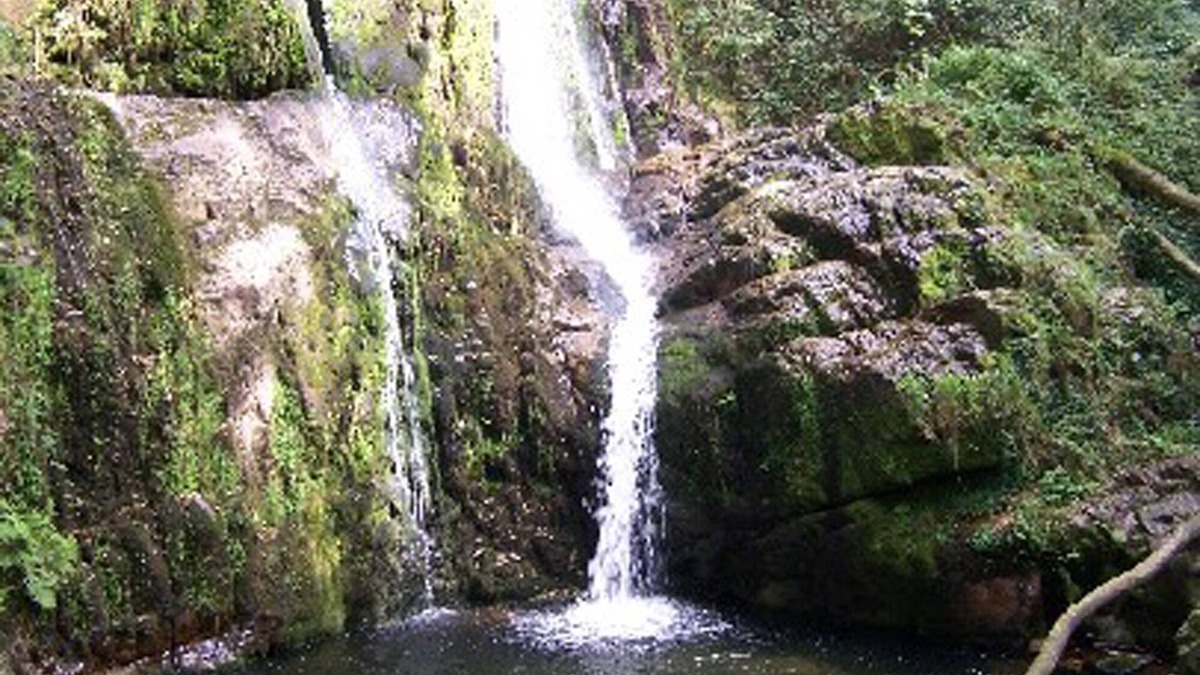 Coana Apartment | Trelles Rural Apartment - Los Galpones Rural Apartments