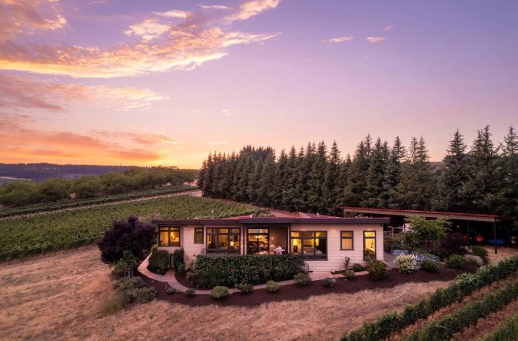 Dundee House | Trellis at Baptista Maresh Vineyard