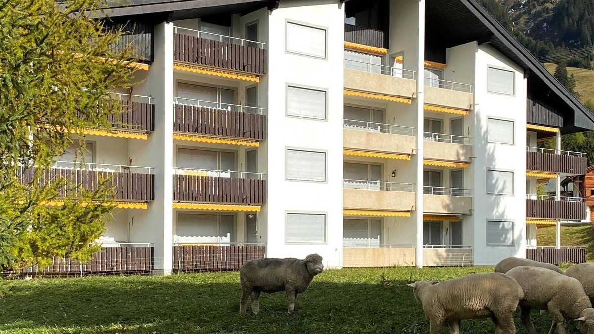Parpan Apartment | Triangel D Petersen by Interhome