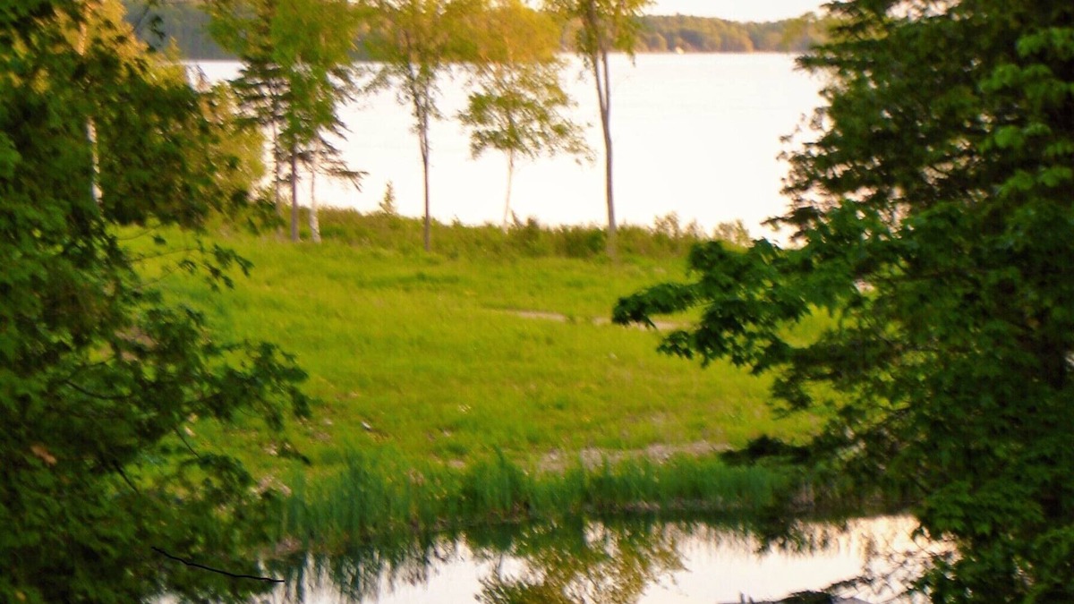 Grey Highlands Cottage | Trillium Shores on Lake Eugenia