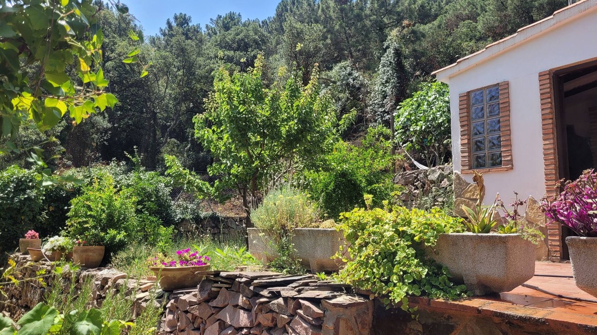 Eslida Ski Chalet | Trocito de Paraíso en el Espadán