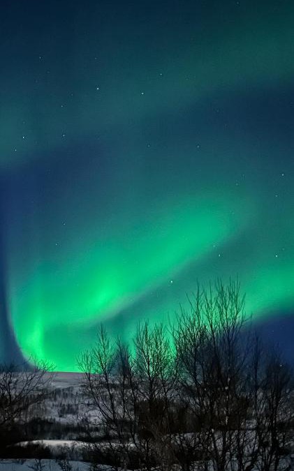 Tromsdalen Apartment | Tromsdalen Aurora Apartments