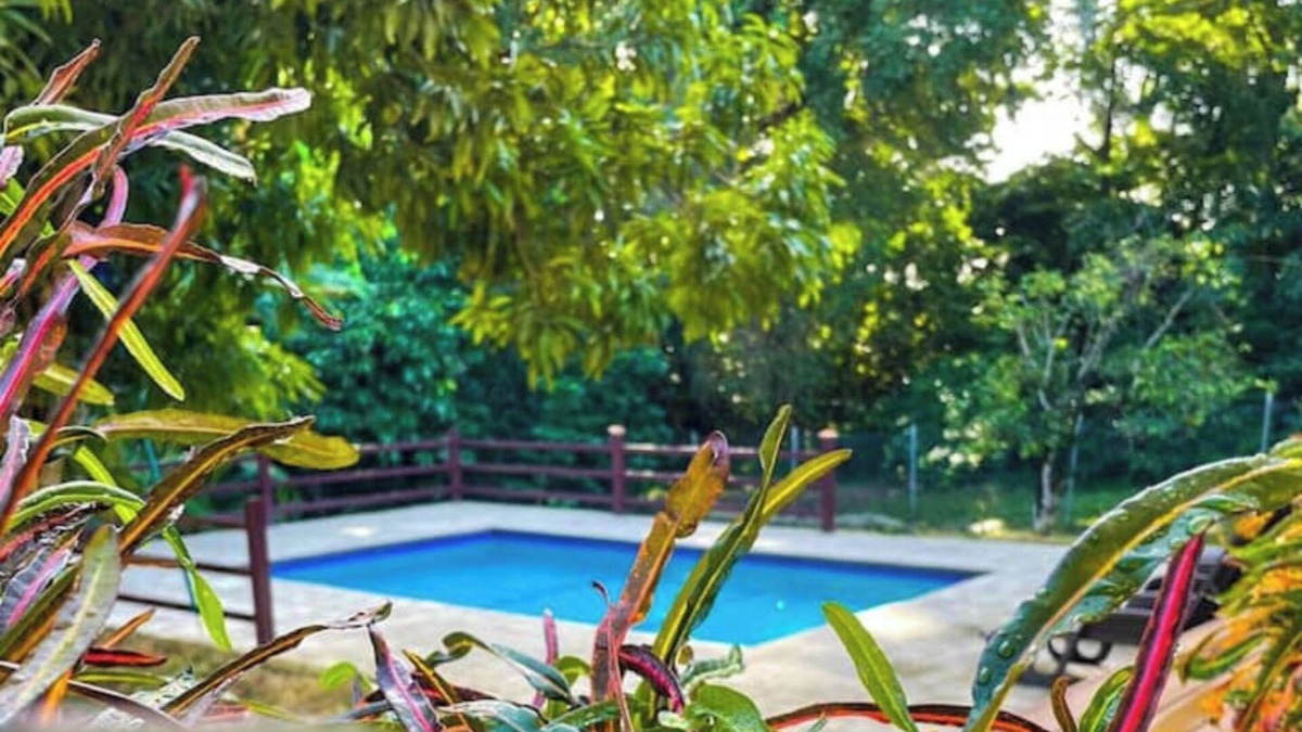 Scarborough Apartment | Tropical Apartments Tobago : Palm Apt 2