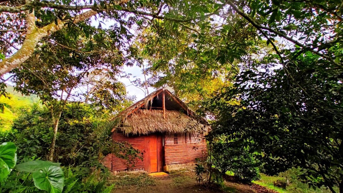 Nocaima Hotel | Tropical Biohostel by Rotamundos