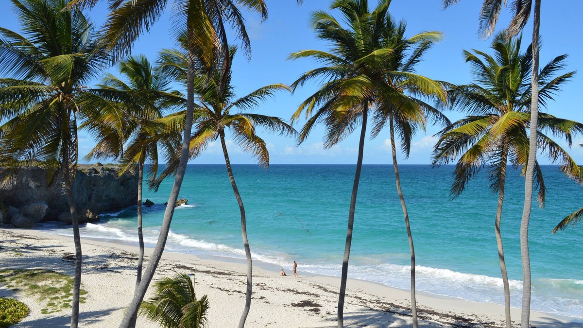 Silver Sands Hotel | Tropical Gecko Studio