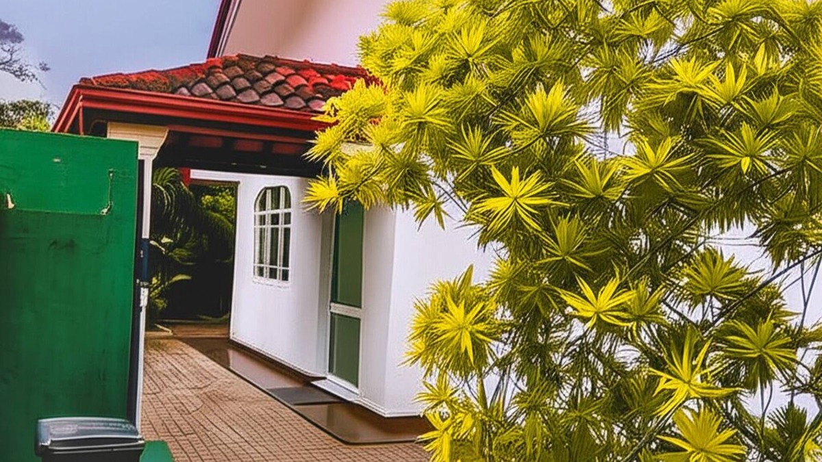 Negombo Villa | Tropical Haven – Fully Air Conditioned Modern Luxury 3 Bed Room Villa in Negombo