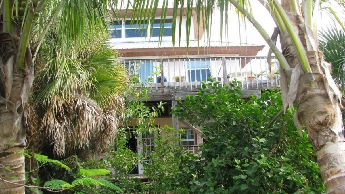 Placida House | Tropical Home nestled among the coconuts