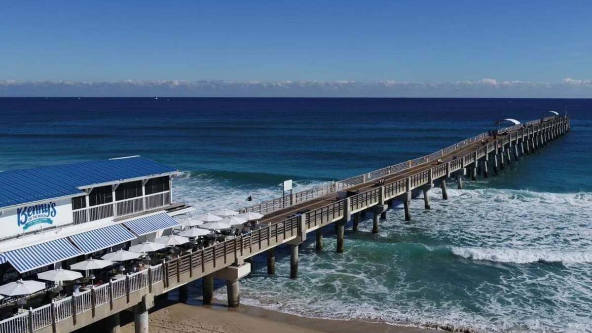 Mango Groves Apartment | Tropical Maritime 1.5 mi to beach & 0.3 mi to downtown