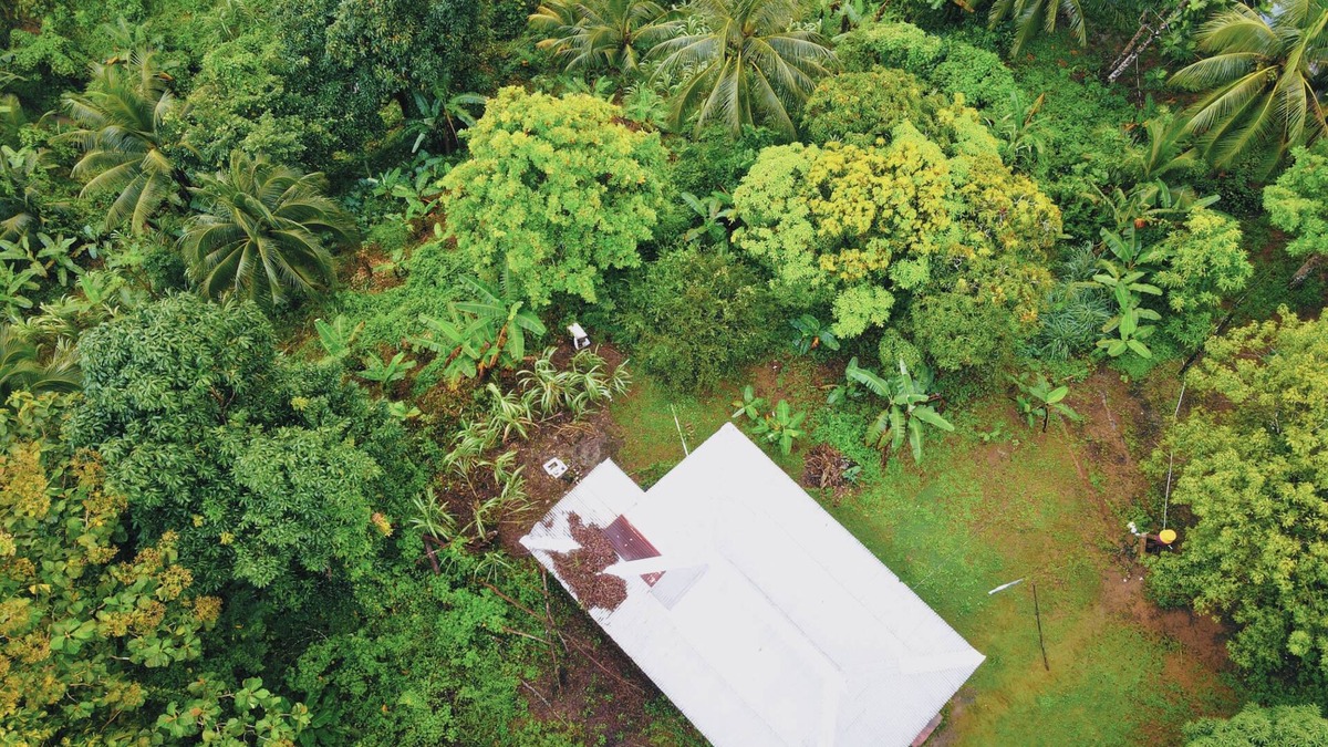 Moore Town Other | Tropical Rain For Us: Eco OffGrid Retreat Venue with WiFi - Airy Castle, Jamaica