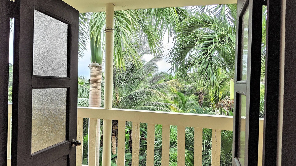 Duque Cabin | Tropical Rainforest Retreat