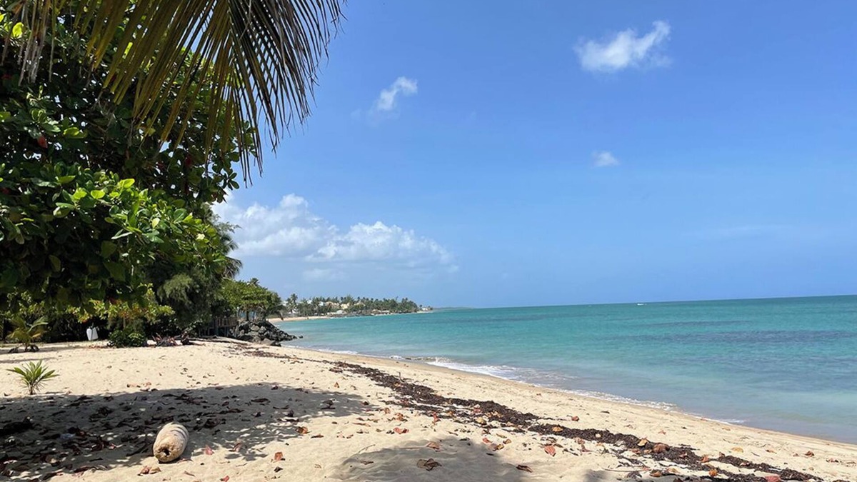 Rio Grande Condo | Tropical Resort , 5 Pools & Direct Beach Access