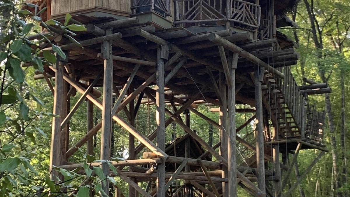 Arkadelphia Cabin | Tropical Treehouse surrounded by Jungle Gardens