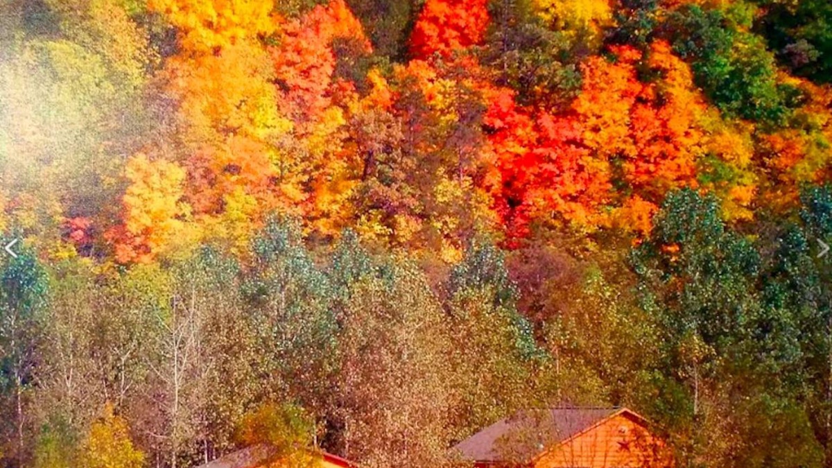 Harpers Ferry Cabin | Trout Lodge with Hot Tub Jacuzzi