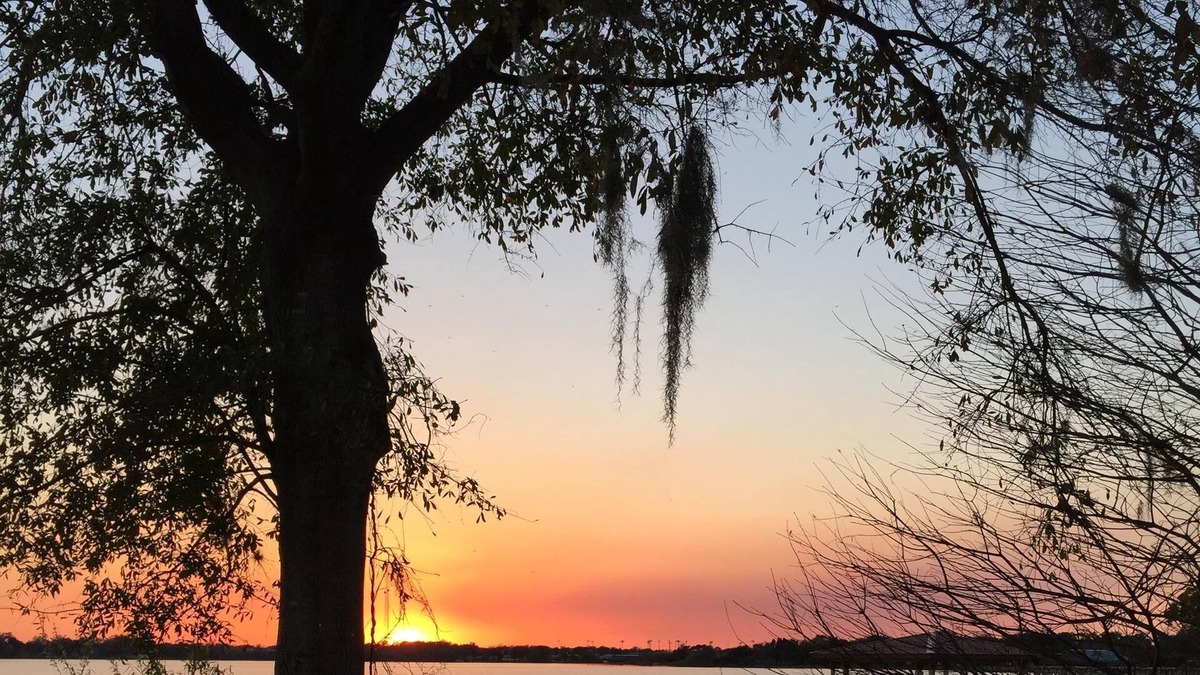 Winter Garden House | True Whimsical Lakefront Getaway; Loved By Returning Snowbirds!
