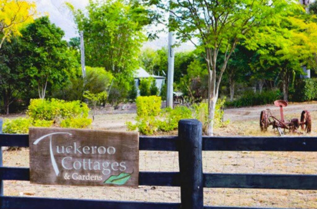 Rathdowney House | Tuckeroo House and Gardens - min 2 nights