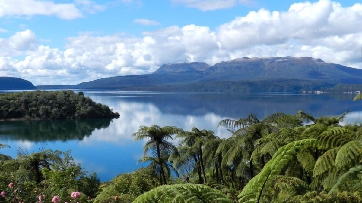 Lake Tarawera House | Tui Glen - Lake front bach with stunning views