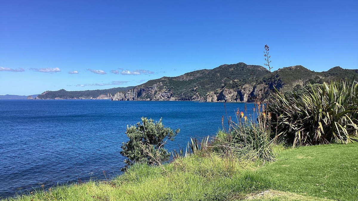 Tuateawa House | Tui Heights- Serene Beach and Lush Bushland