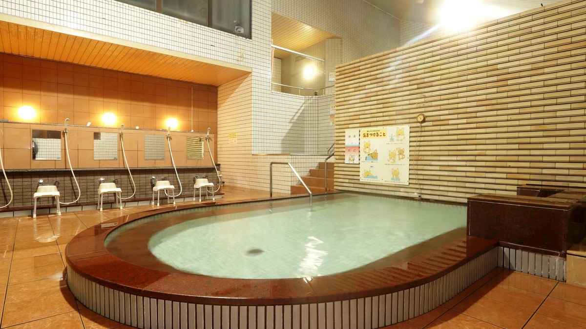 Kintaro Onsen House | Tuji Wakuwaku Land Minshuku Chaya