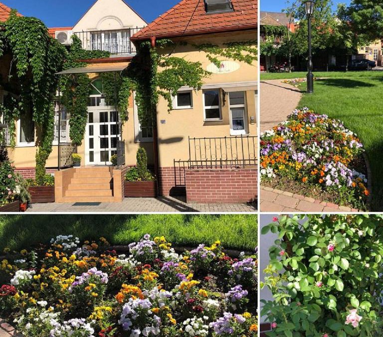 Szolnok Bed & Breakfast | Tulipán Villa Panzió