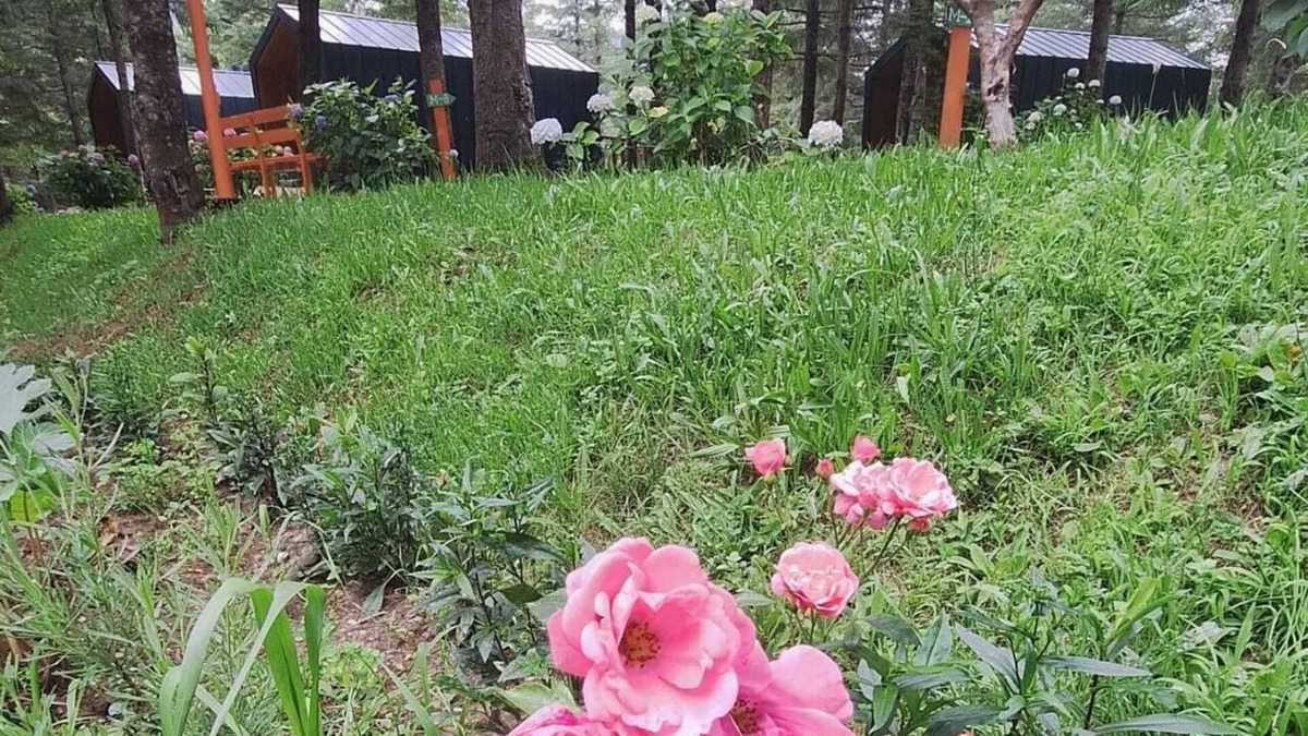 Kartepe Cabin | Tumba Sisli Vadi