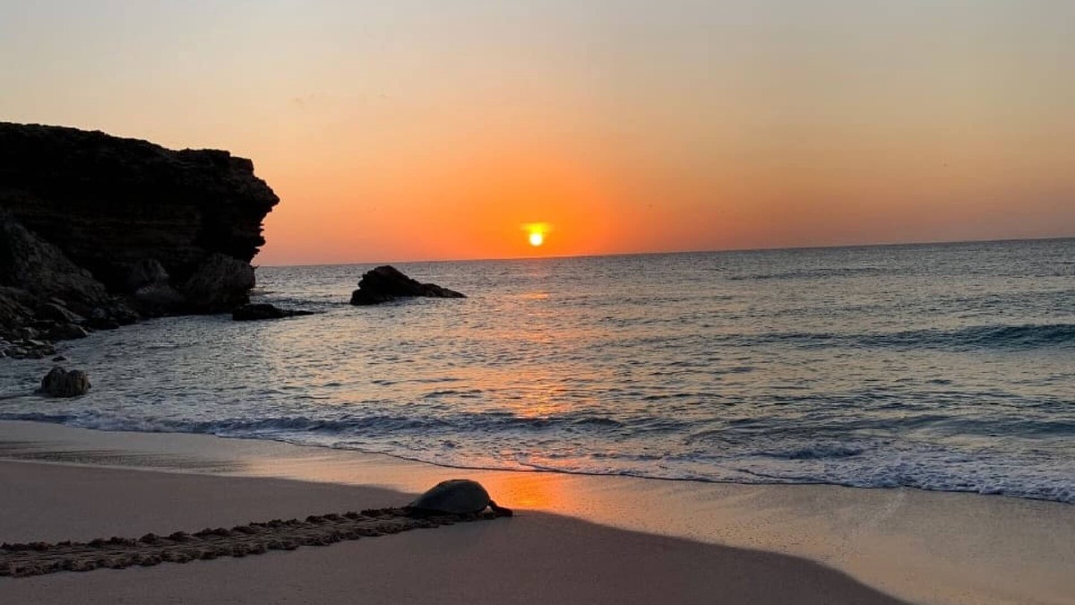 Al Hadd Bed & Breakfast | Turtle Guest House