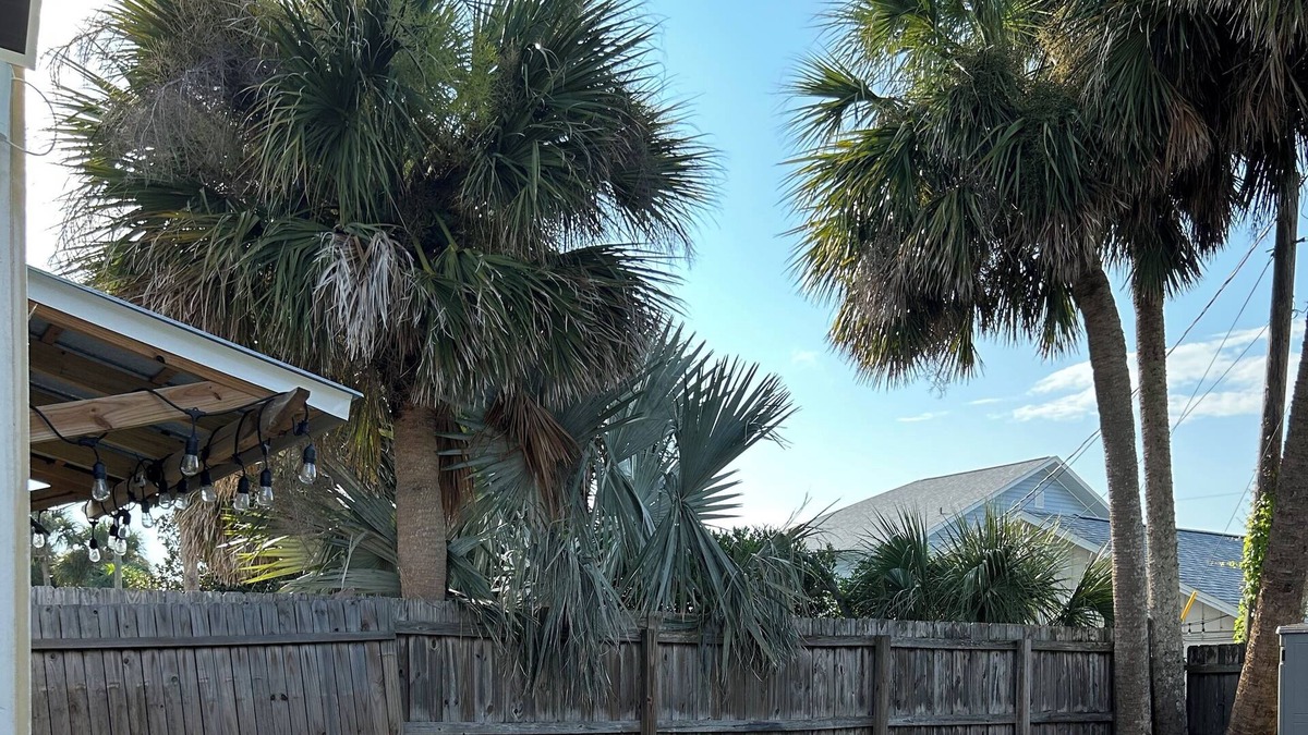 Boardwalk Cottage | Turtle Tracks Tiny House One bed one bath one block to beach. Quiet and private