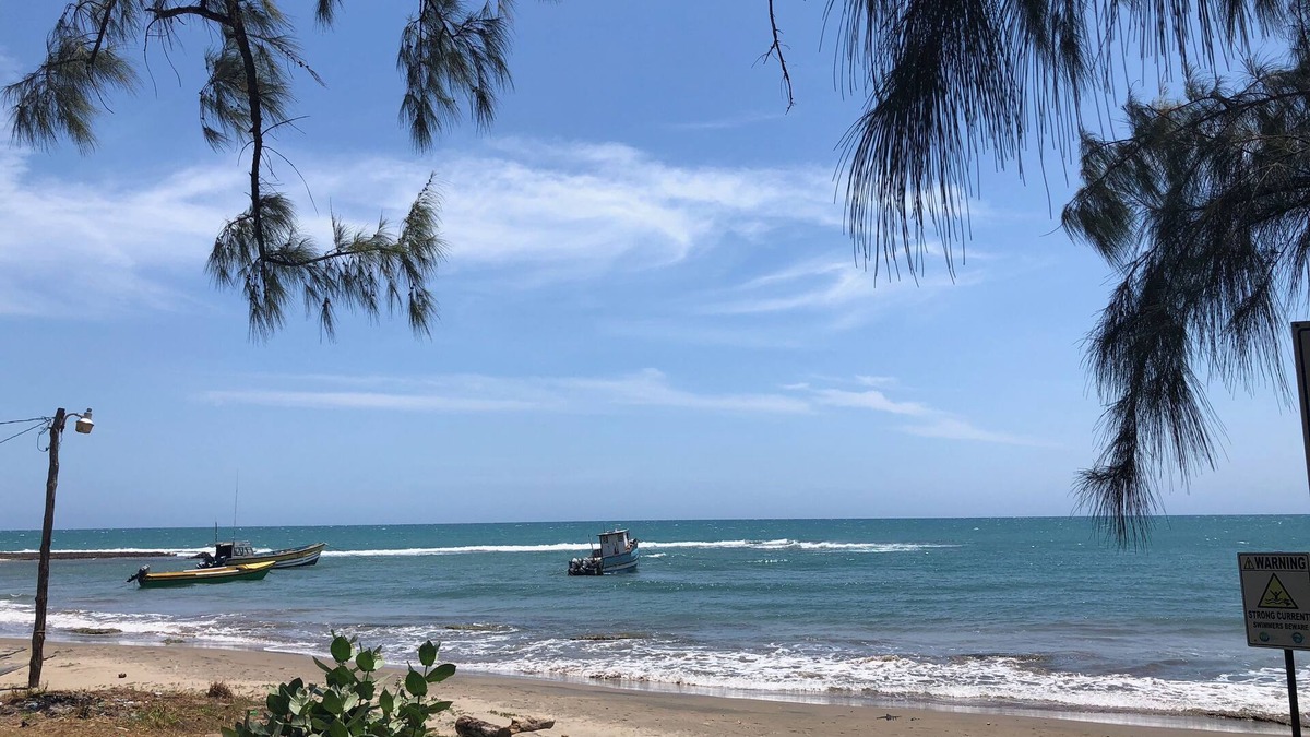 Treasure Beach Villa | Turtles Nest Villa