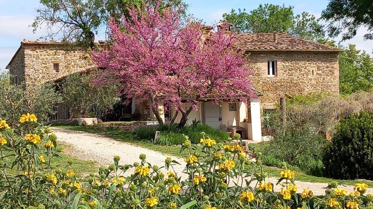 San Macario In Monte Apartment | Tuscan Hideaway with Views and Pool