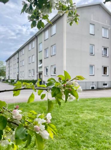 Toreboda Apartment | Två rum & kök Börstorpsgatan 13 B