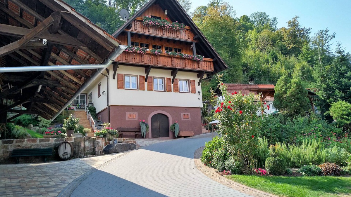 Gengenbach Apartment | Two apartments near the city in a quiet location