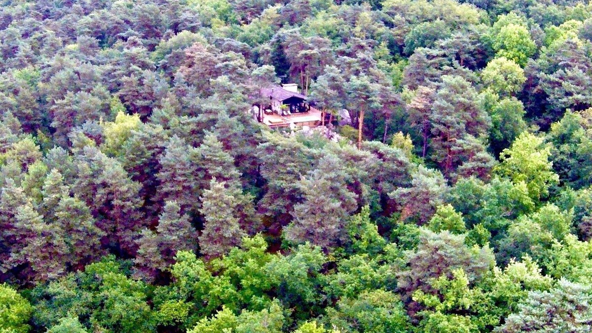 Maisse Villa | Two architect houses in the forest
