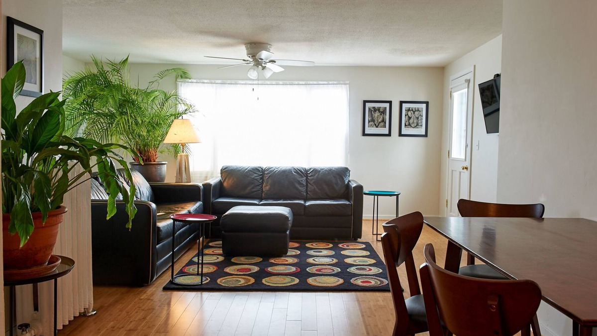 Viroqua Apartment | Two Bedroom airy modern apartment - Green Door