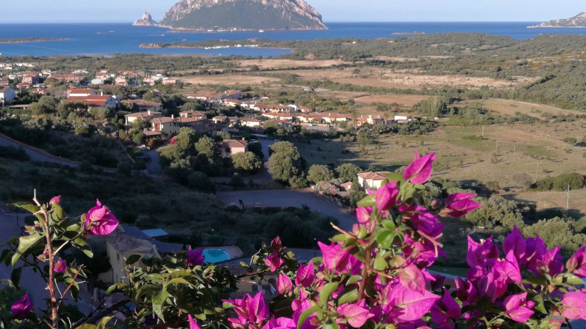 Porto San Paolo Apartment | Two-room apartment with sea view, swimming pool and relax