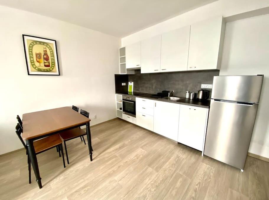 Plzen Apartment | Two-room apartment with garage in the center
