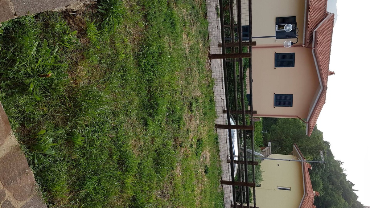 Castelpetroso Condo | Two rooms detached house with garden