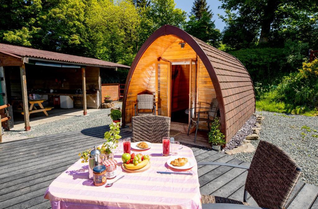 Kington Other | Ty Grug Pods
