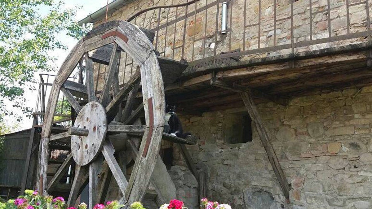 Porrena House | Typical farmhouse in Tuscany