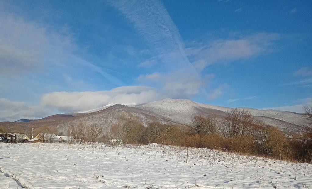 Ustrzyki Gorne Apartment | U Gabrysia i Tatiana