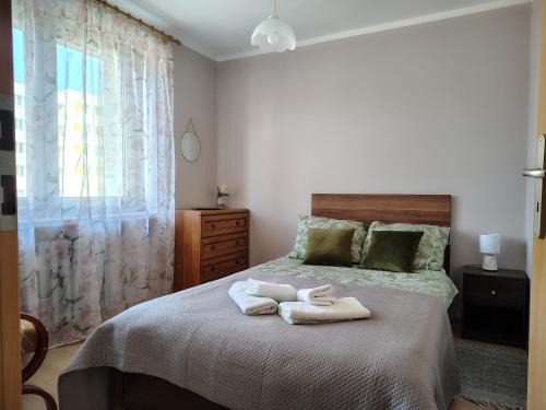 Cieplice Apartment | U Kocurka - przy Termach Cieplickich