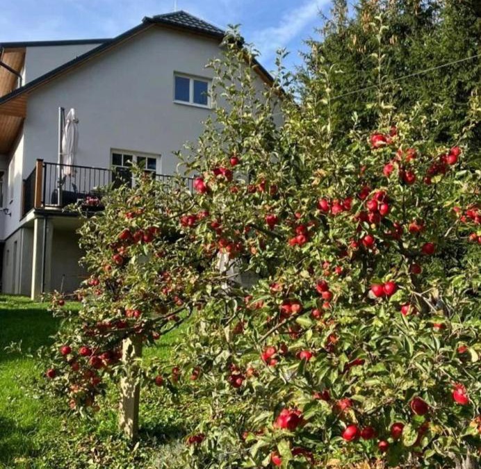 Cicmany Apartment | U nás Čicmany