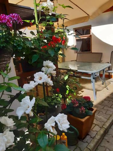 Valtice Apartment | U paní malířky